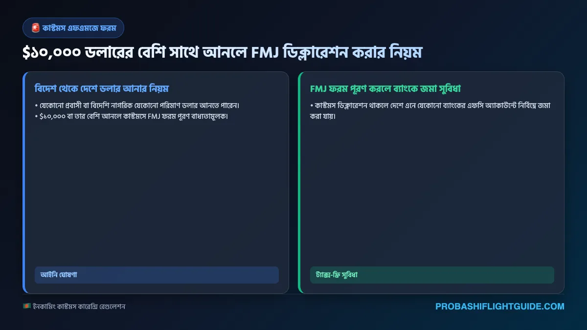 ইনফোগ্রাফিক ০৫: কাস্টমস কারেন্সি ডিক্লারেশন FMJ ফরম পূরণ নির্দেশিকা